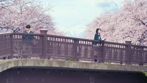Let Me Eat Your Pancreas háttérkép