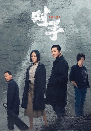 对手 poszter