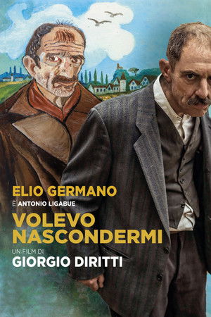 Volevo nascondermi poszter