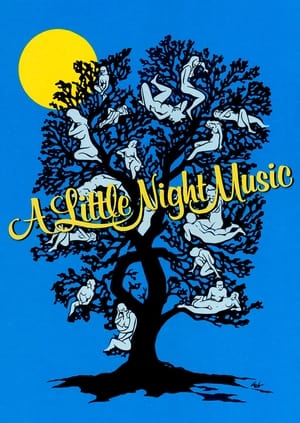Egy kis éji zene poszter