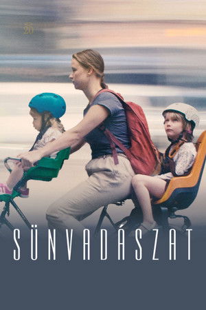 Sünvadászat poszter