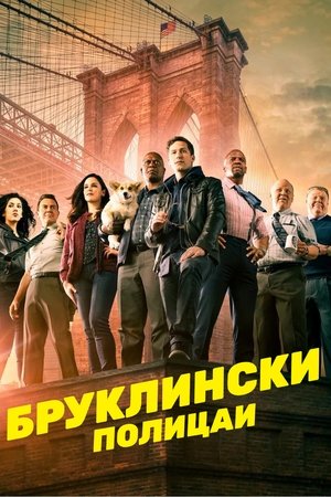 Brooklyn 99 - Nemszázas körzet poszter