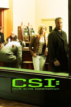 CSI: A helyszínelők poszter