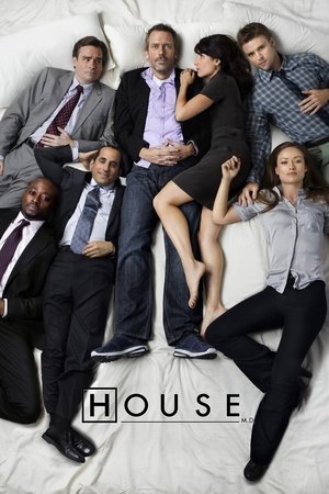 Dr. House poszter