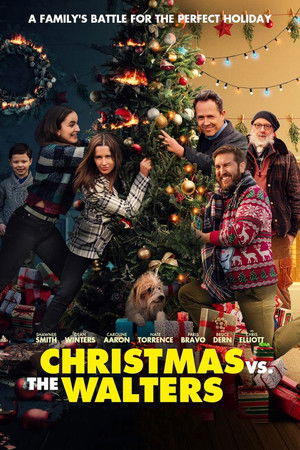 Christmas vs The Walters poszter