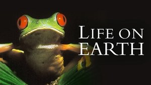 Élet a Földön kép