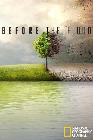 Özönvíz előtt poszter