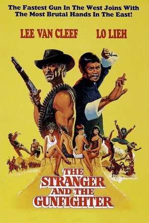 The Stranger and the Gunfighter poszter