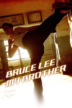 Bruce Lee a bátyám poszter