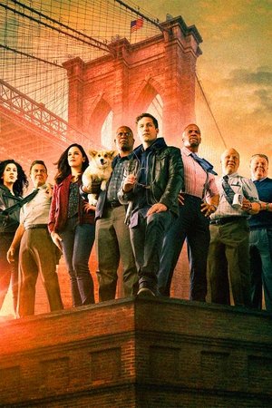 Brooklyn 99 - Nemszázas körzet poszter