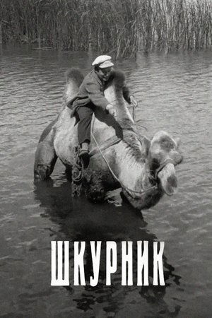 Шкурник poszter