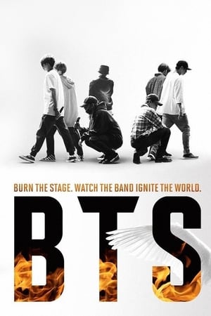 BTS: Burn the Stage poszter