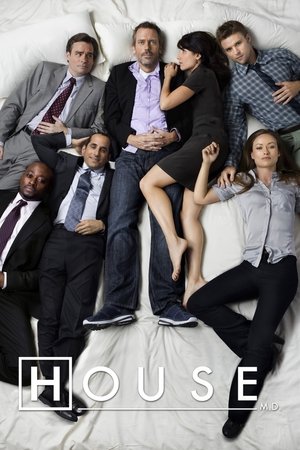 Dr. House poszter