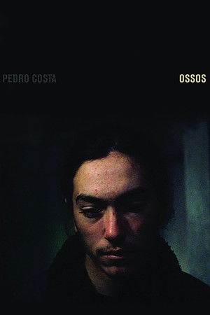 Csontok poszter