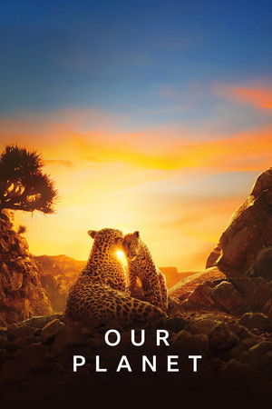 Our Planet – Bolygónk csodái poszter