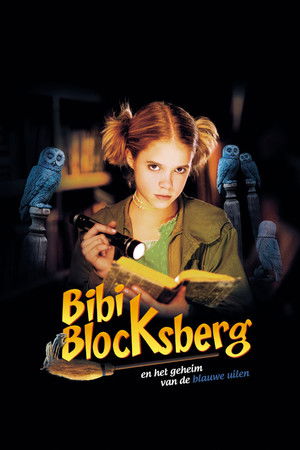 Bibi Blocksberg and the Secret of Blue Owls poszter