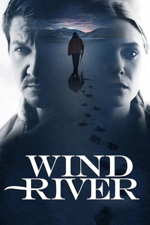 Wind River - Gyilkos nyomon poszter