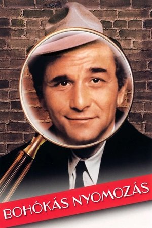 Bohókás nyomozás