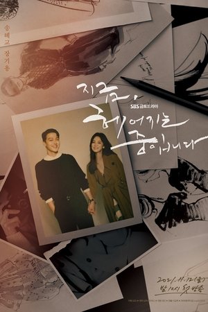 지금, 헤어지는 중입니다 poszter