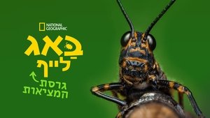Egy igazi bogár élete kép