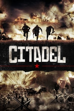 Csalóka napfény III. - Az erőd poszter