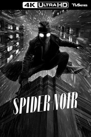 A Pók: Noir poszter