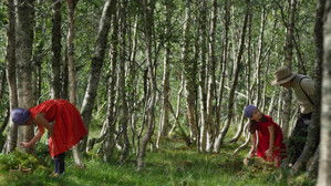 Catching the Flame háttérkép