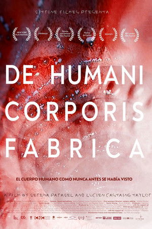 De humani corporis fabrica poszter