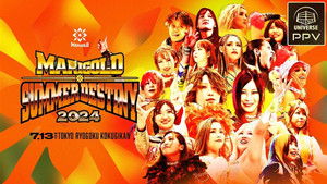 Marigold Summer Destiny 2024 háttérkép