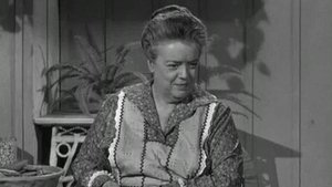 The Andy Griffith Show 2. évad Ep.9 9. epizód