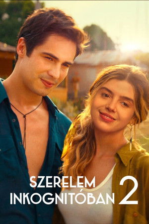 Szerelem inkognitóban 2 poszter