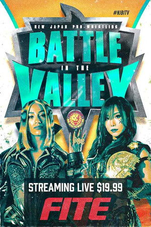 NJPW Battle In The Valley 2023 poszter