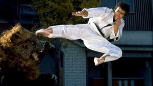 Karate Bear Fighter háttérkép
