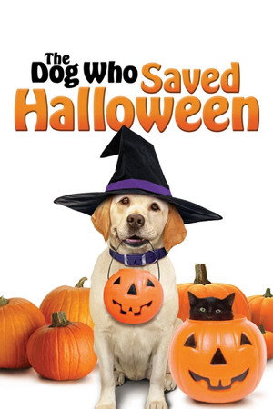 A kutya, aki megmentette a Halloweent
