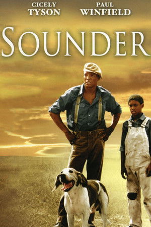 Sounder poszter