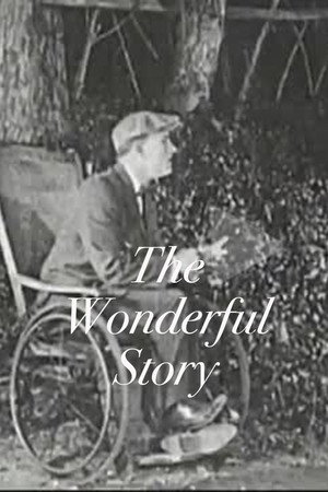 The Wonderful Story