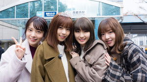 NOGIBINGO! kép