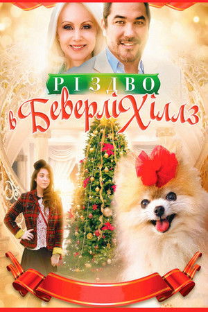 Beverly Hills Christmas poszter