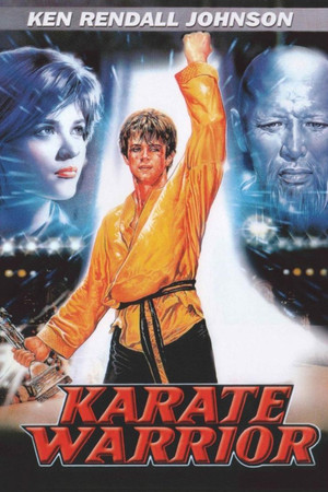 Karate harcos poszter
