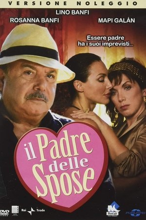 Il padre delle spose poszter