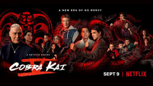 Cobra Kai kép