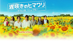 遅咲きのヒマワリ～ボクの人生、リニューアル～ kép