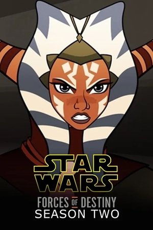 Star Wars: A sors erői