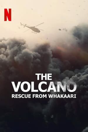 A Whakaari vulkánkitörés poszter