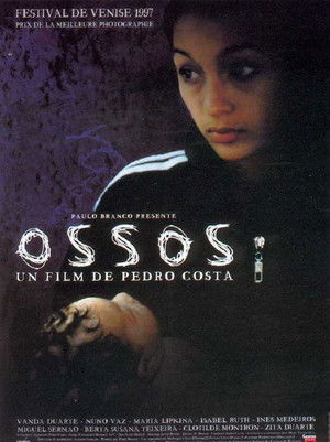 Csontok poszter