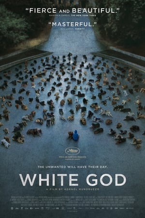 Fehér Isten poszter