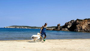 Nicostratos the Pelican háttérkép