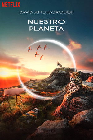 Our Planet – Bolygónk csodái poszter