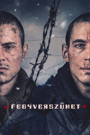 Fegyverszünet