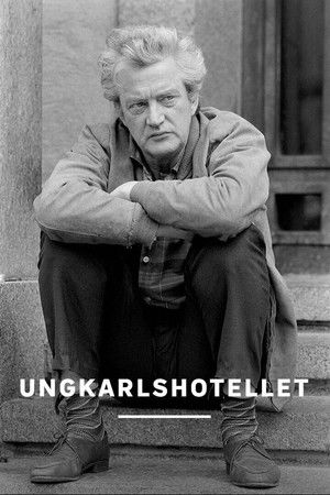 Ungkarlshotellet poszter